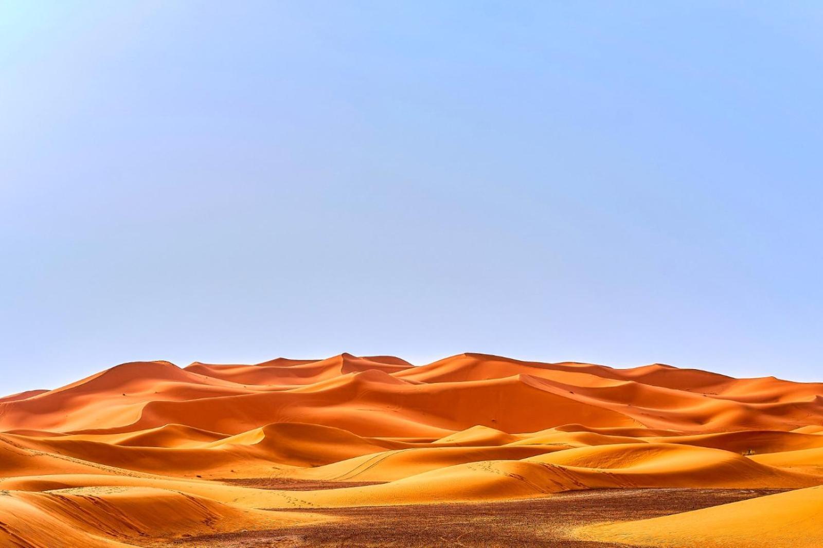 Young Luxury Camp Merzouga Εξωτερικό φωτογραφία