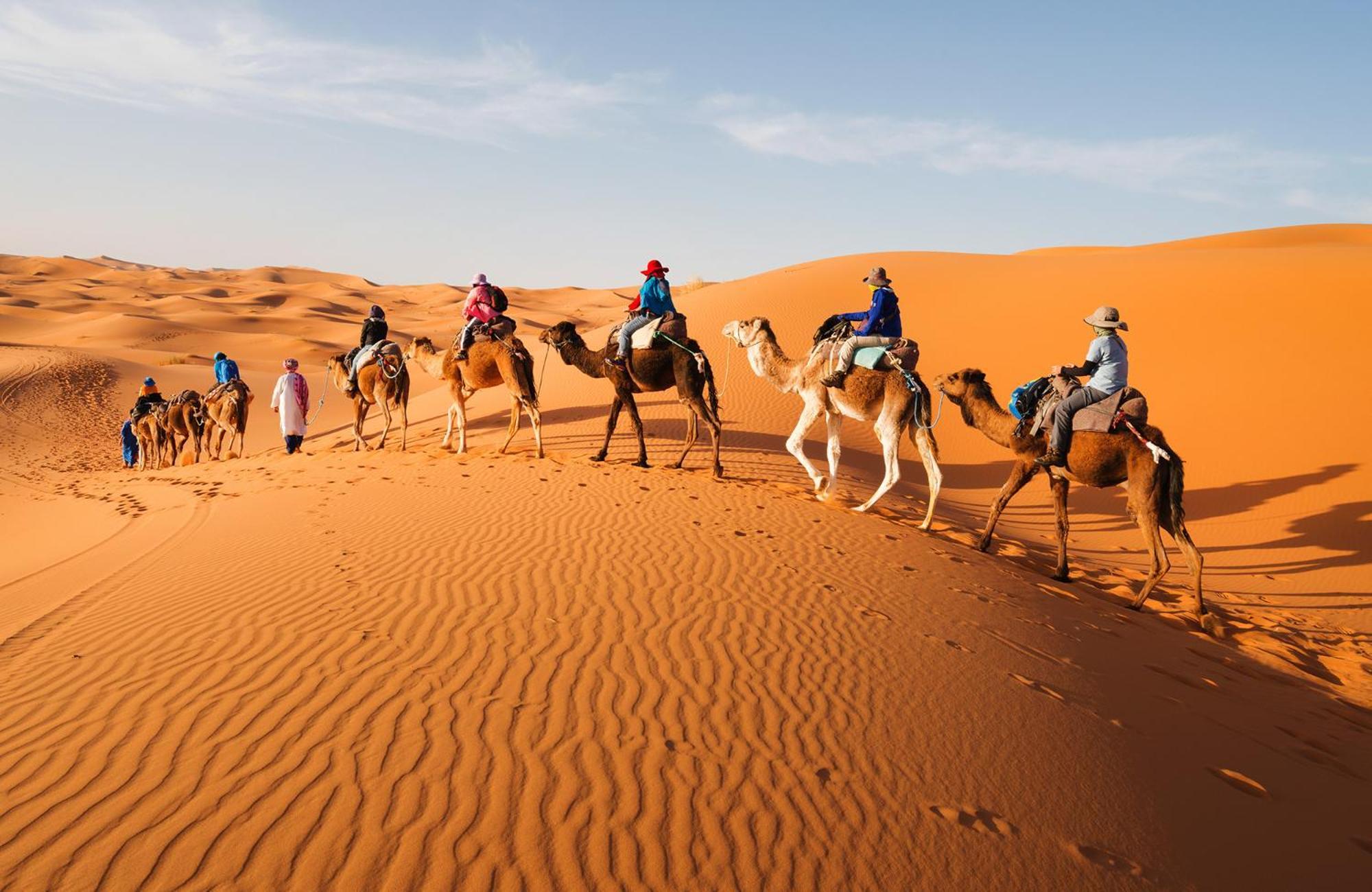 Young Luxury Camp Merzouga Εξωτερικό φωτογραφία